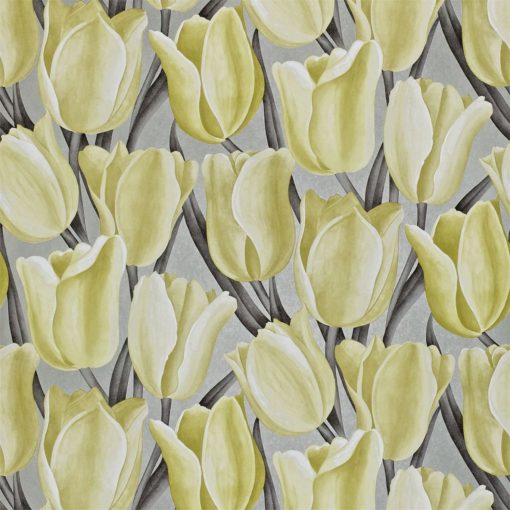 Tapeta Sanderson Vintage DVIWEA 106 Early Tulips