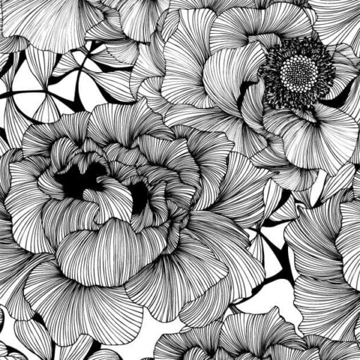 Tapeta w Kwiaty Róży biała w srebrne kwiaty