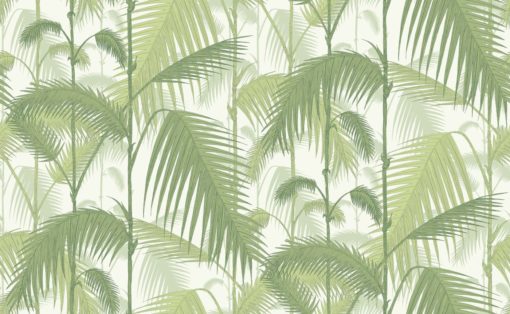 Tapeta Cole & Son Contemporary Restyled Palm Jungle 95/1001