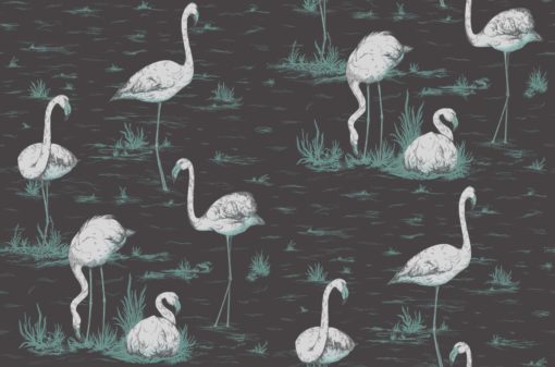 Tapeta Cole & Son Contemporary Restyled Flamingos 95/8048