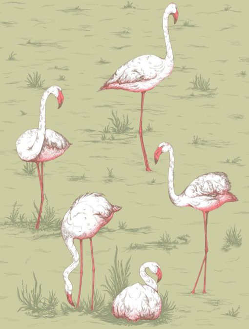 Tapeta Cole and Son Icons Flamingos 112/10038
