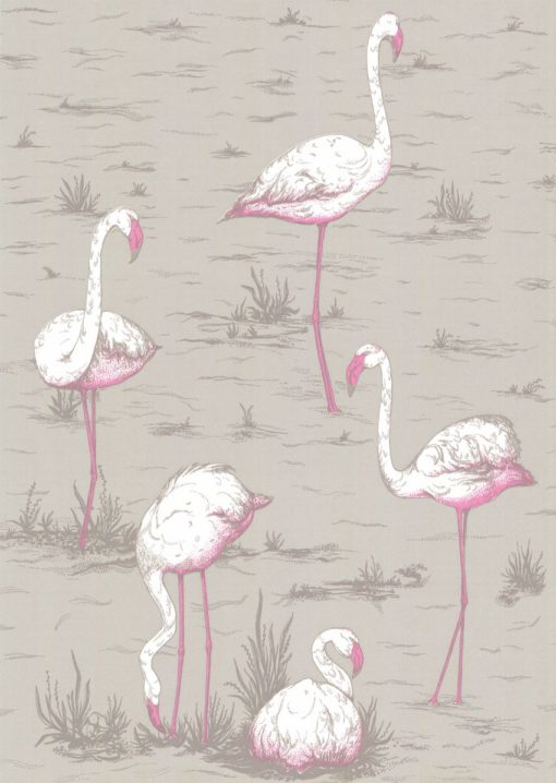 Tapeta Cole&Son New Contemporary I Flamingos 66/6042 flamingi