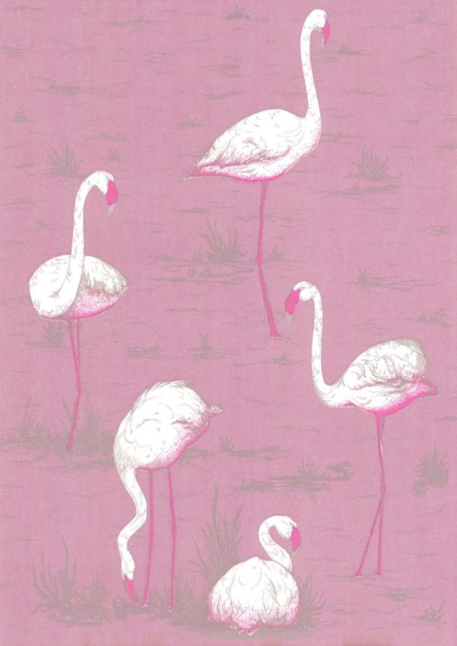 Tapeta Cole&Son New Contemporary I Flamingos 66/6043 flamingi