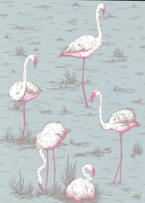 Tapeta Cole&Son New Contemporary I Flamingos 66/6044 flamingi