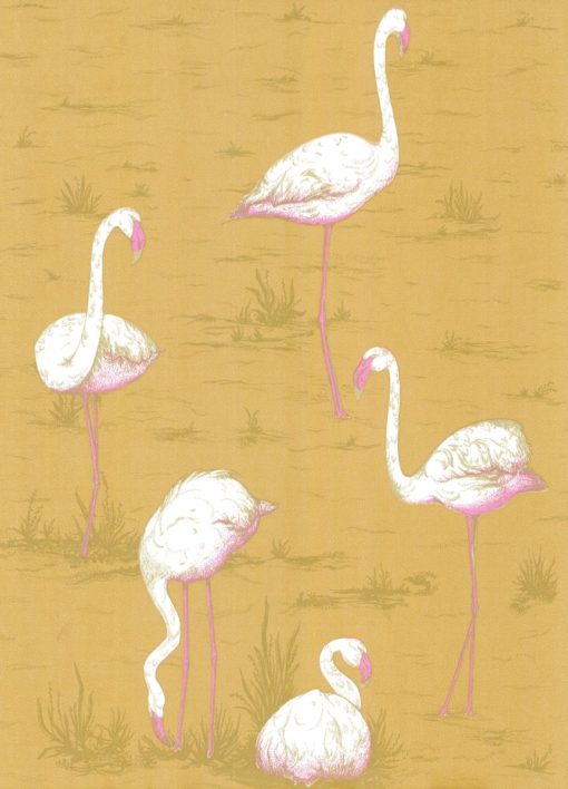 Tapeta Cole&Son New Contemporary I Flamingos 66/6045 flamingi
