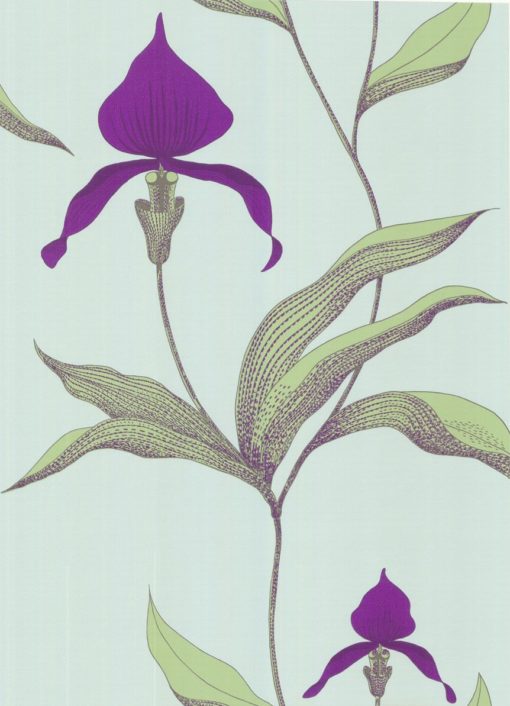 Tapeta Cole&Son New Contemporary I Orchid 66/4027 kwiaty orchidea