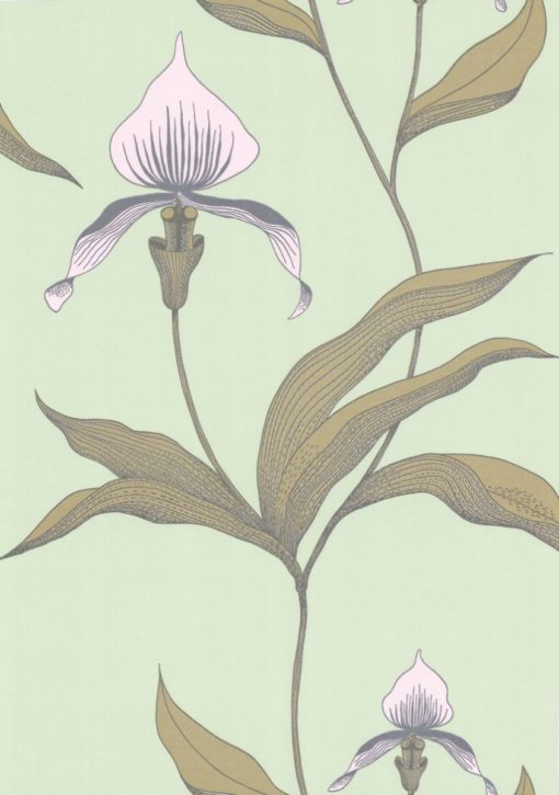 Tapeta Cole&Son New Contemporary I Orchid 66/4028 kwiaty orchidea