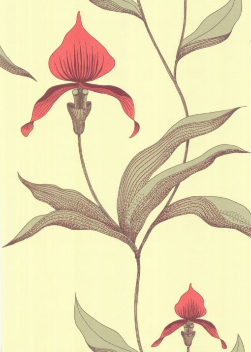 Tapeta Cole&Son New Contemporary I Orchid 66/4033 kwiaty orchidea