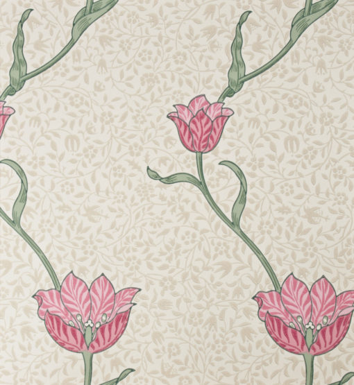Tapeta Morris and Co. Archive Wallpapers 210391 Garden Tulip Rose/Thyme