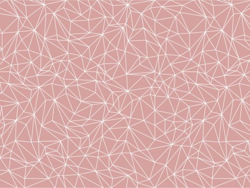 Fototapeta Wallart Cosy Web Pink różowa geometryczna 3d