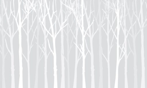 Fototapeta Wallart Zimowy Las Szare Tło białe drzewa