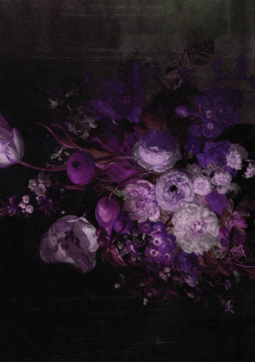 Fototapeta Wallart Violet Dream kwiaty na czarnym tle