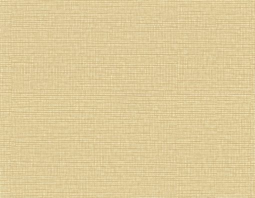 Tapeta York Wallcoverings 750 Home Color Library 2 CL1870