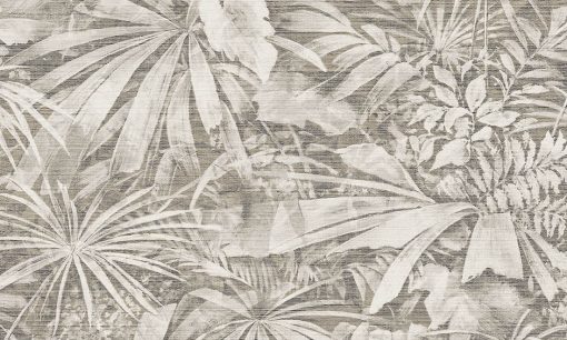 Tapeta Arte Curiosa 13521 Grove  szara liście palmy