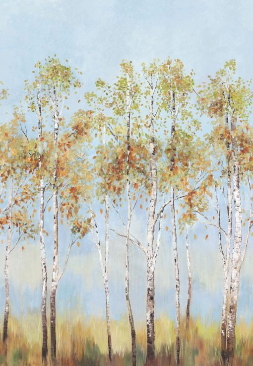 Fototapeta Wallquest Daisy Bennett Woodlands Resource JB22000M Birch Tree Mural niebieska drzewa brzozy