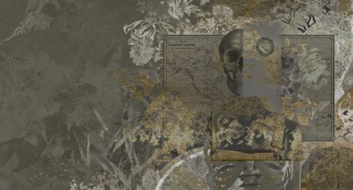 Fototapeta vintage stara mapa Muance III MU13047 Skull Candy