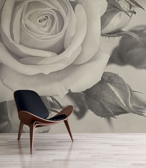 Fototapeta Feathr Romeo (Vintage Rose) Wall Mural Monochrome róża