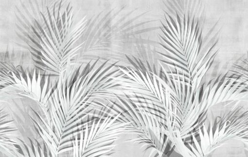 Fototapeta Tecnografica Kenthie Pearl Grey liście palmy
