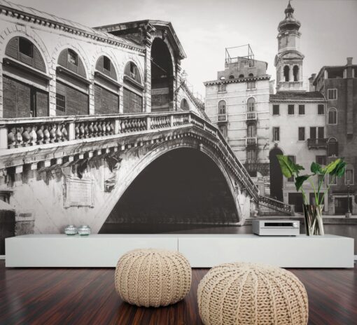 Fototapeta Skinwall Venezia – Ponte di Rialto 601 architektura