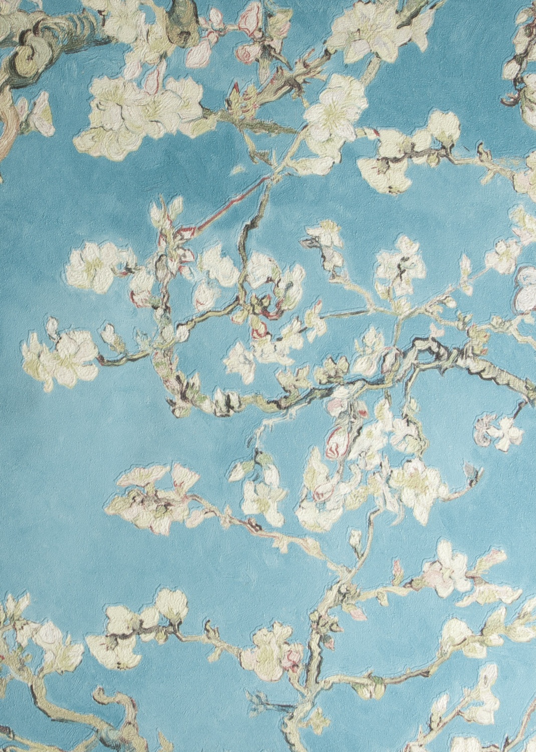 tapeta turkusowa gałązki migdałowca almond blossom 17140