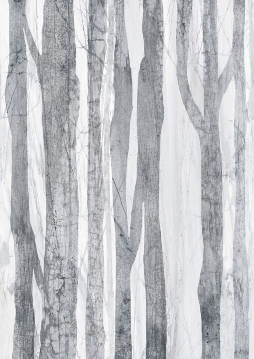 Fototapeta Tecnografica Forest White drzewa