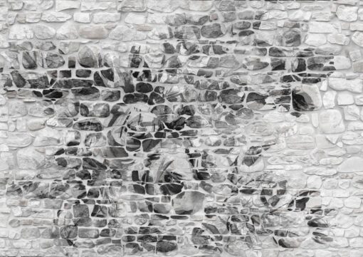 Fototapeta Tecnografica Stonewall Grey Deco kamień