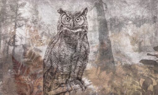 Tapeta sowa las Walltime  1208w2 Forest Owl