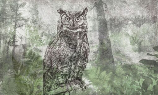 Tapeta sowa las Walltime  1208w3 Forest Owl