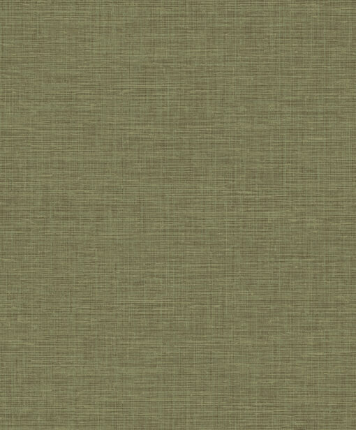 zielona oliwkowa Tapeta płótno Wallquest Studio Textures JT30301